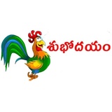 Good Morning WhatsApp Sticker #28