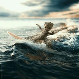 Groot WhatsApp Sticker #19