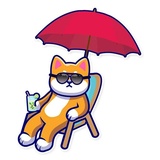 Grumpy Shiba WhatsApp Sticker #15