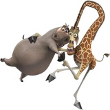 Madagascar WhatsApp Sticker #25