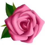 Sticker 48