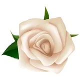 Sticker 49