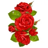 Sticker 53