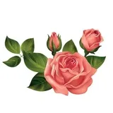 Sticker 63