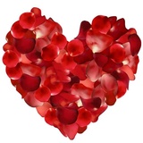 Heart Flower WhatsApp Sticker #8