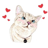 Hug me pls - Iam your cat WhatsApp Sticker pack