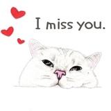 Hug me pls - Iam your cat WhatsApp Sticker #12