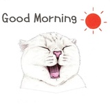 Hug me pls - Iam your cat WhatsApp Sticker #17