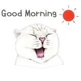 Sticker 17