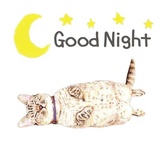 Hug me pls - Iam your cat WhatsApp Sticker #18