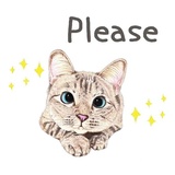 Hug me pls - Iam your cat WhatsApp Sticker #19