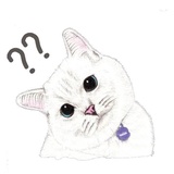 Hug me pls - Iam your cat WhatsApp Sticker #21