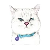 Sticker 23