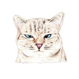 Hug me pls - Iam your cat WhatsApp Sticker #24