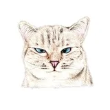Sticker 24
