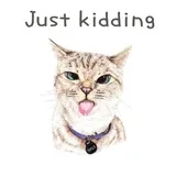 Sticker 25