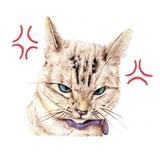 Hug me pls - Iam your cat WhatsApp Sticker #26