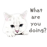 Hug me pls - Iam your cat WhatsApp Sticker #27