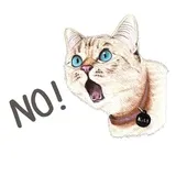 Sticker 29