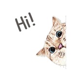 Hug me pls - Iam your cat WhatsApp Sticker #3