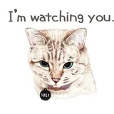 Sticker 31