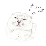 Sticker 35