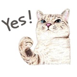 Hug me pls - Iam your cat WhatsApp Sticker #9