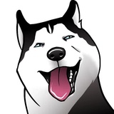 Husky Memes WhatsApp Sticker pack