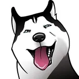 Husky Memes