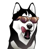 Husky Memes WhatsApp Sticker #10