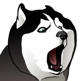Husky Memes WhatsApp Sticker #11