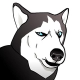 Husky Memes WhatsApp Sticker #13
