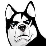 Husky Memes WhatsApp Sticker #14