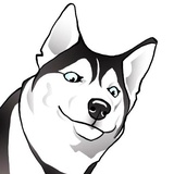 Husky Memes WhatsApp Sticker #2