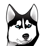 Husky Memes WhatsApp Sticker #20
