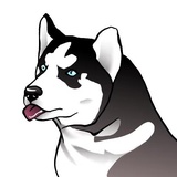 Husky Memes WhatsApp Sticker #21