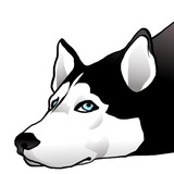 Husky Memes WhatsApp Sticker #23