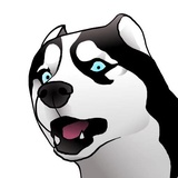 Husky Memes WhatsApp Sticker #24