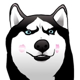 Husky Memes WhatsApp Sticker #25