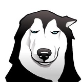 Husky Memes WhatsApp Sticker #26