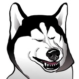 Husky Memes WhatsApp Sticker #27