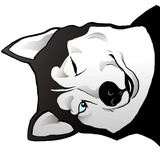 Husky Memes WhatsApp Sticker #3