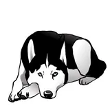 Sticker 37