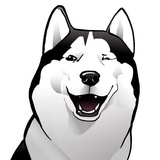 Husky Memes WhatsApp Sticker #4