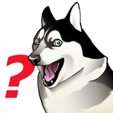 Husky Memes WhatsApp Sticker #6