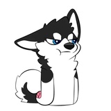 Husky Funny WhatsApp Sticker #10