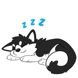 Husky Funny WhatsApp Sticker #12