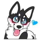 Husky Funny WhatsApp Sticker #16