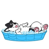 Husky Funny WhatsApp Sticker #21