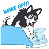 Husky Funny WhatsApp Sticker #22